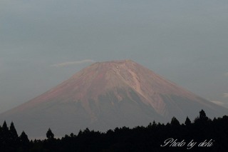 IMG_0088