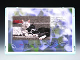 calendar2