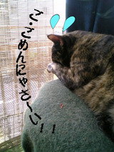 gomenne・koharu