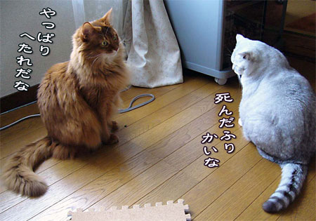 1184d4d8.jpg