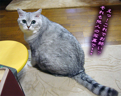 4dd0f946.jpg