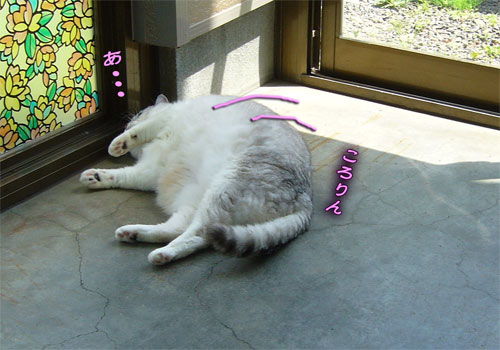 6827d4c9.jpg