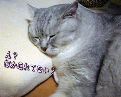 983540f7.jpg