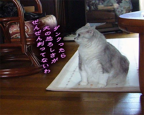a04e9e27.jpg