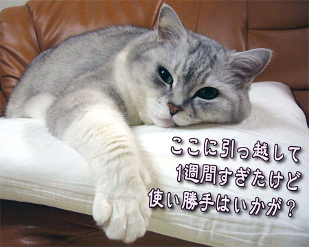 ac3ff634.jpg