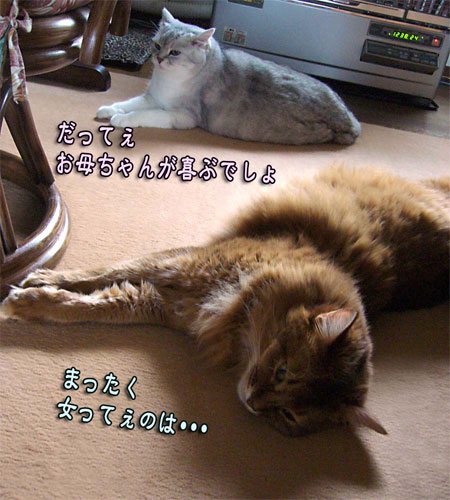 ac5b42cf.jpg