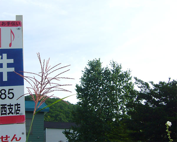 b572875c.jpg