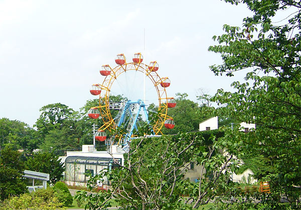d2b25441.jpg