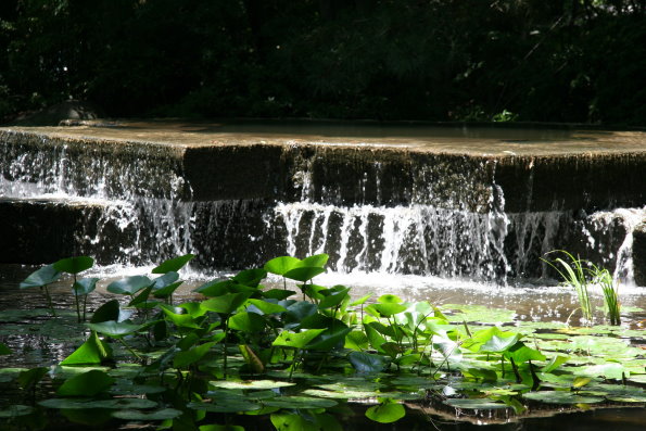 08e4854e.jpg