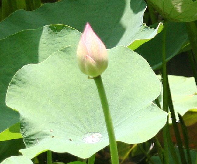 18109d8f.jpg