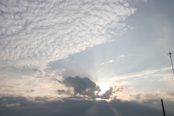 1d794d9f.jpg