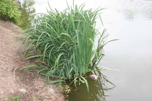 24d3470c.jpg