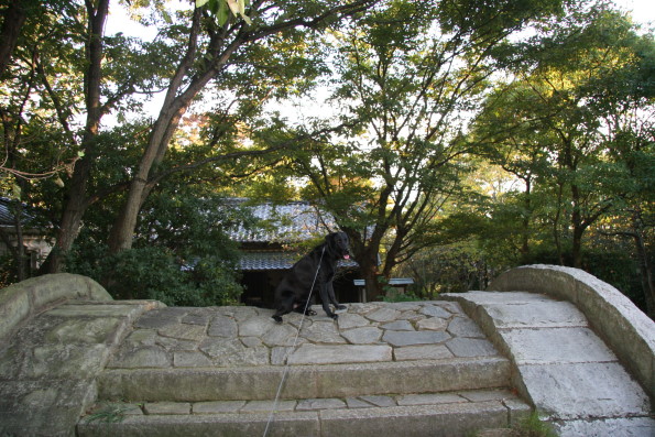 43750f03.jpg