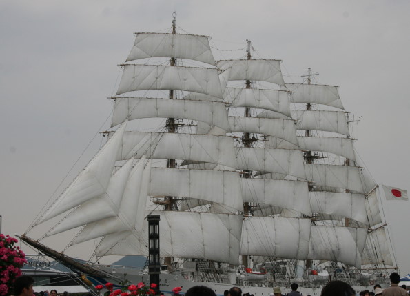 4f081992.jpg