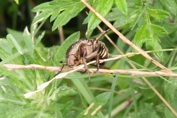 743eca4b.jpg