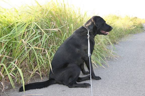 a2a59f68.jpg