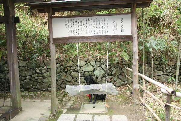 bbc03093.jpg
