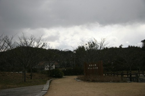 c8210822.jpg