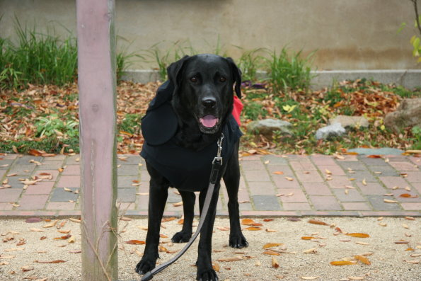 fda8d797.jpg
