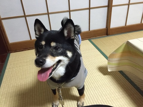 2014-12-21-17-58-45
