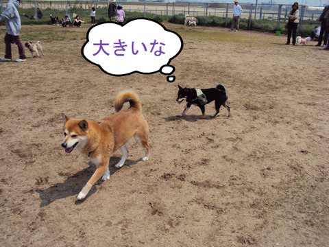 BlogPaint