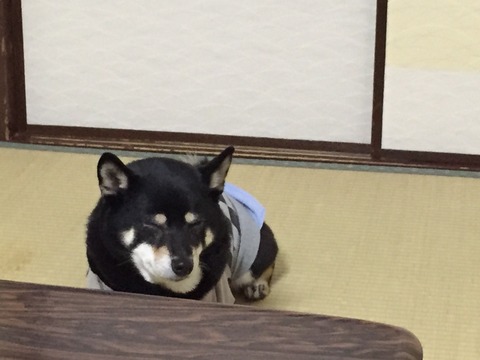 2014-12-21-18-22-06