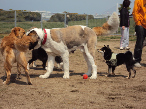 DSC01808
