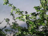 c136a1e6.jpg