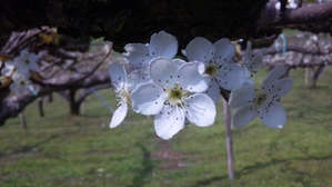 100411_142032