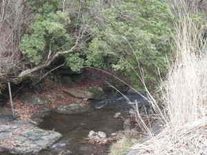 DSCN0459