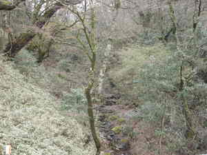 DSCN0464