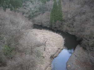 DSCN0470
