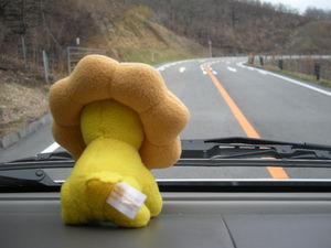 DSCN0467