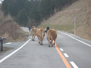 DSCN0454