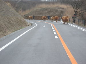 DSCN0456