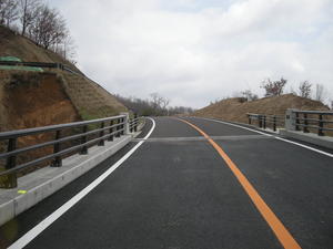 DSCN0466