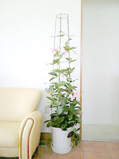 5672e044.jpg