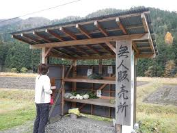 images (9)
