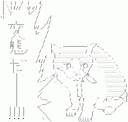20443
