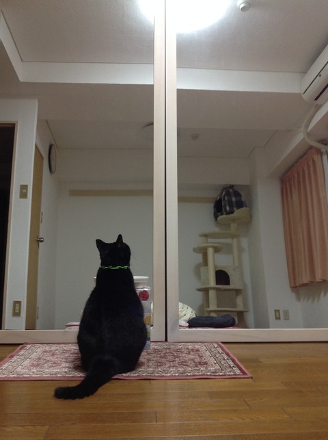 IMG-4976