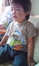 ������T�����