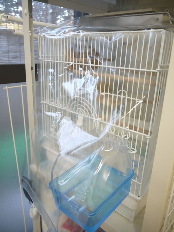 防寒ビニールカバーを設置しました : 白文鳥を育てよう