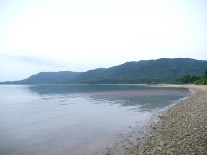 P5147560_1,029