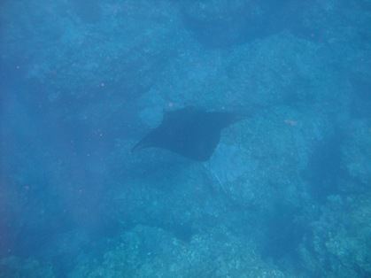 DSCF3654_1029