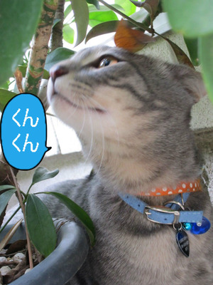 BlogPaint