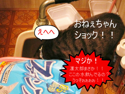 BlogPaint
