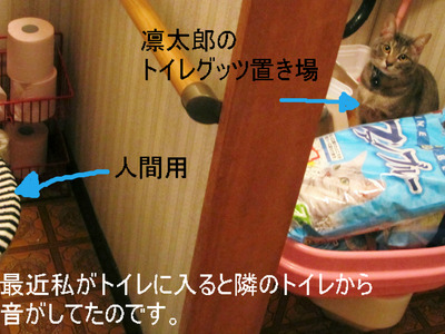 BlogPaint