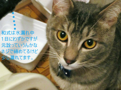 BlogPaint