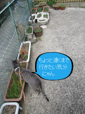 BlogPaint