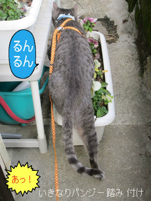 BlogPaint